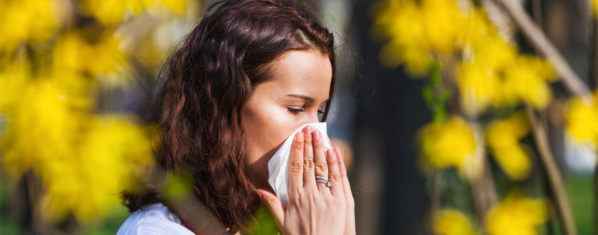 ¡Que no te pille la alergia!