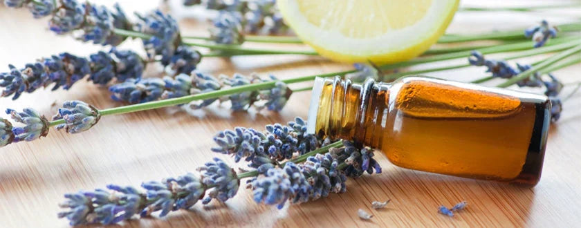 6 aceites imprescindibles para la primavera