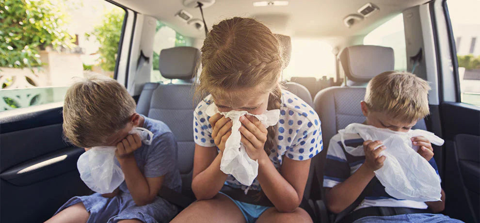 Aceite esencial para el mareo: soluciones naturales eficaces