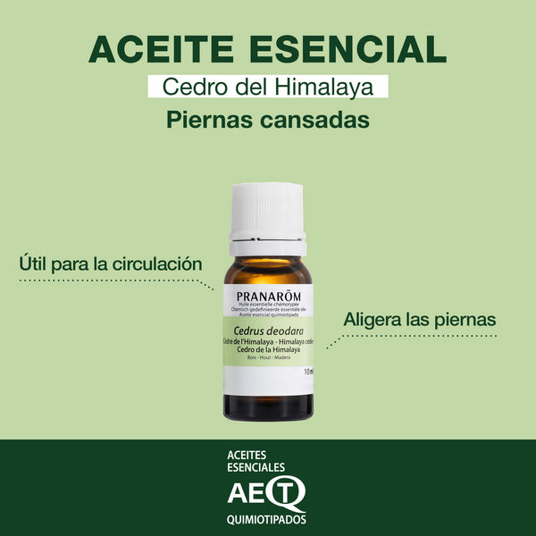 104-cedro-de-la-himalaya-madera-pranarom-10ml-es24-5420008501043-02.jpg