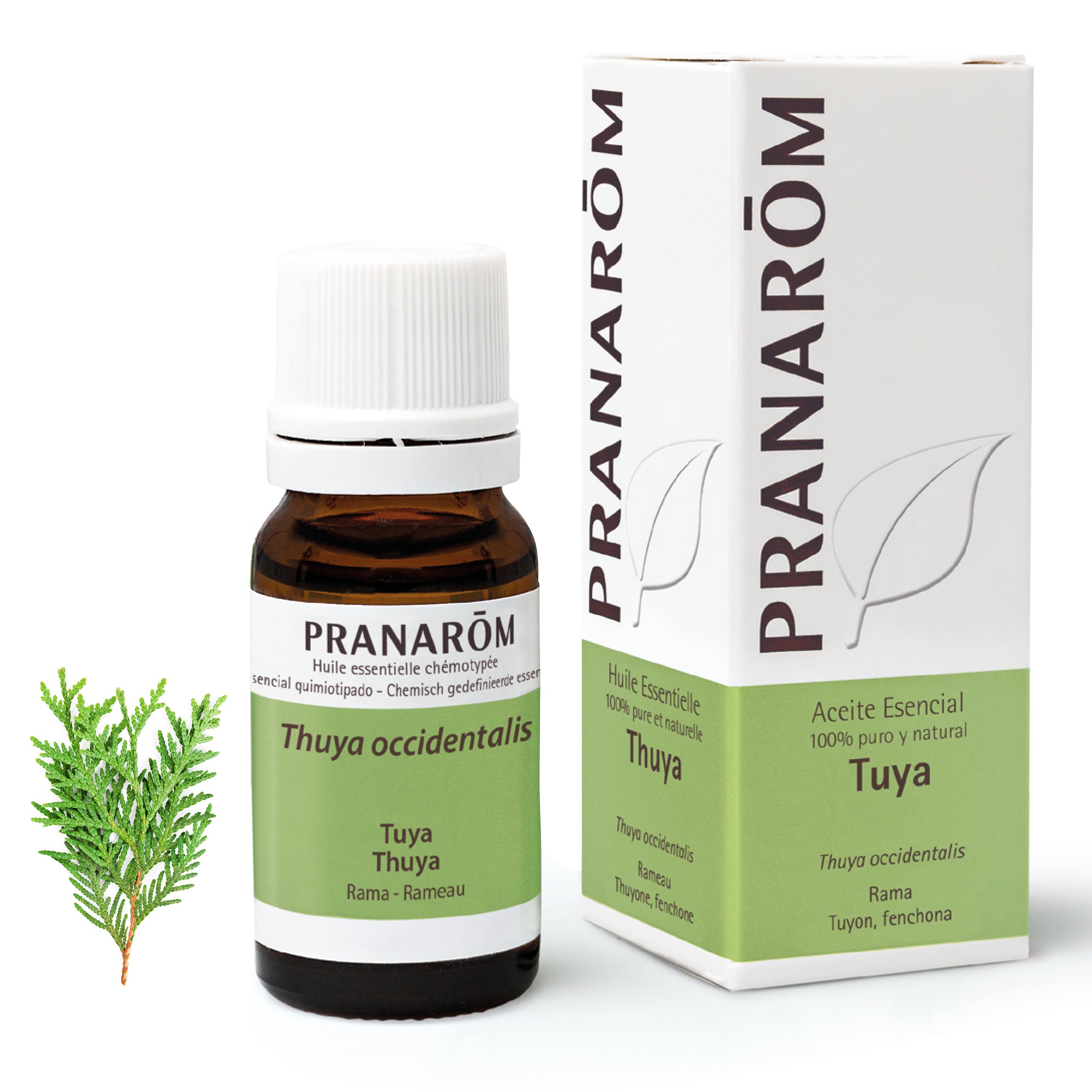 1230-ae-esfr20-tuya-thuya-10ml-pranarom-01.jpg
