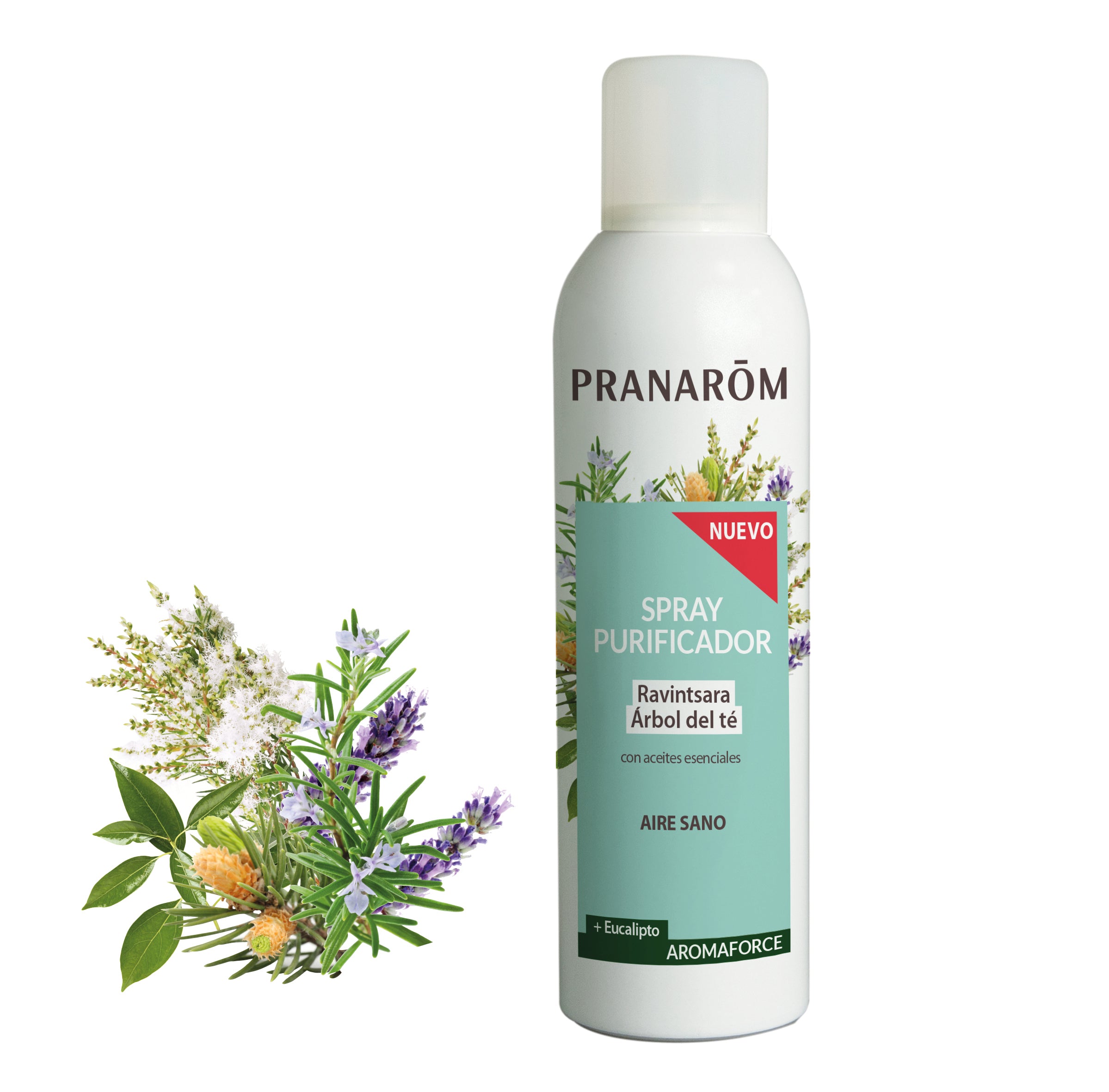 Aromaforce Spray Purificador Ravintsara/Árbol Del Té Bio 150 ml - Bio