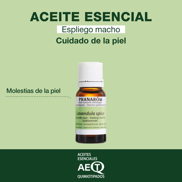 2001-espliego-macho-sumidad-florida-pranarom-10ml-es24-5420008520013-02.jpg