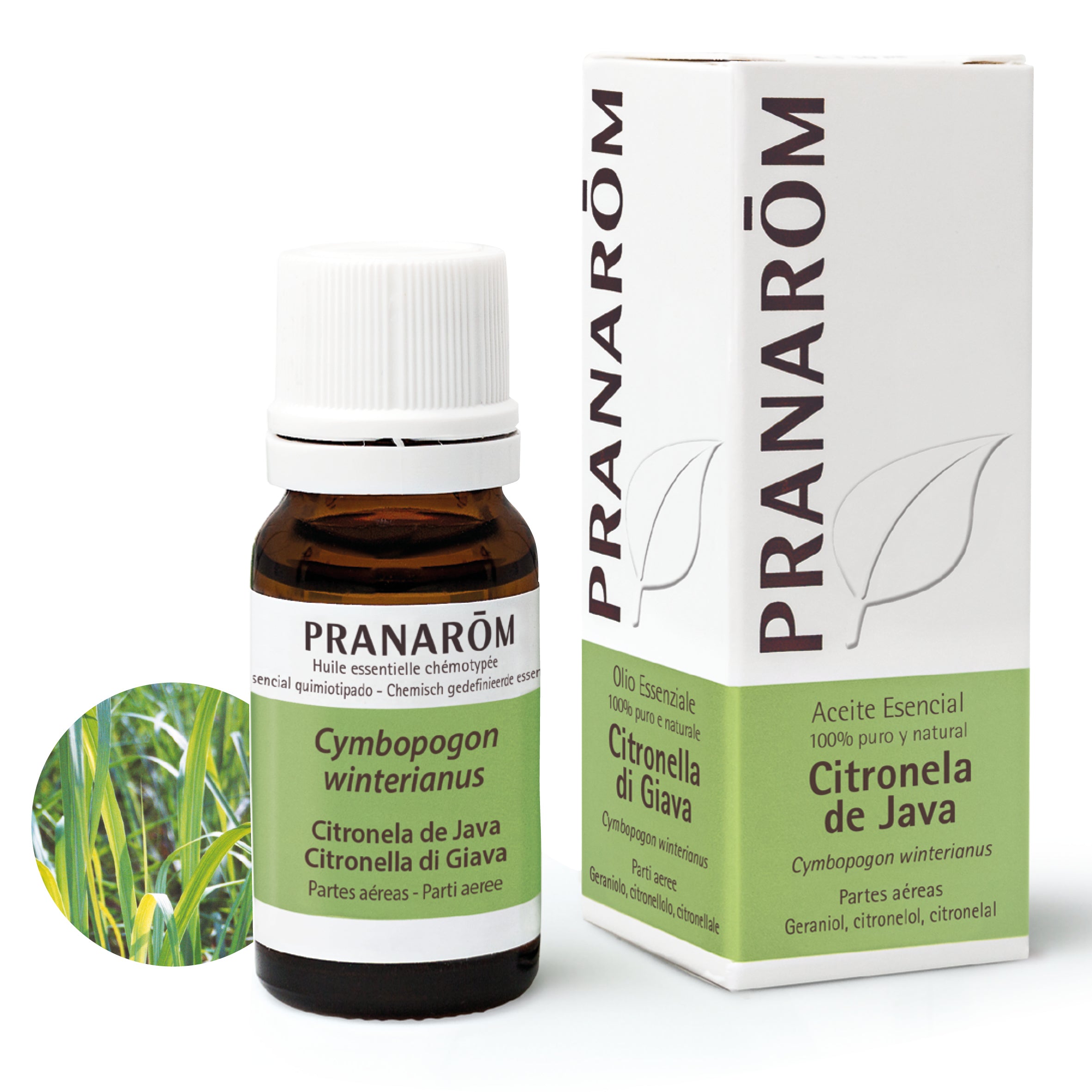 229-ae-esit20-citronela-de-java-citronella-di-giava-10ml-pranarom-01.jpg
