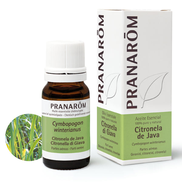 229-ae-esit20-citronela-de-java-citronella-di-giava-10ml-pranarom-01.jpg