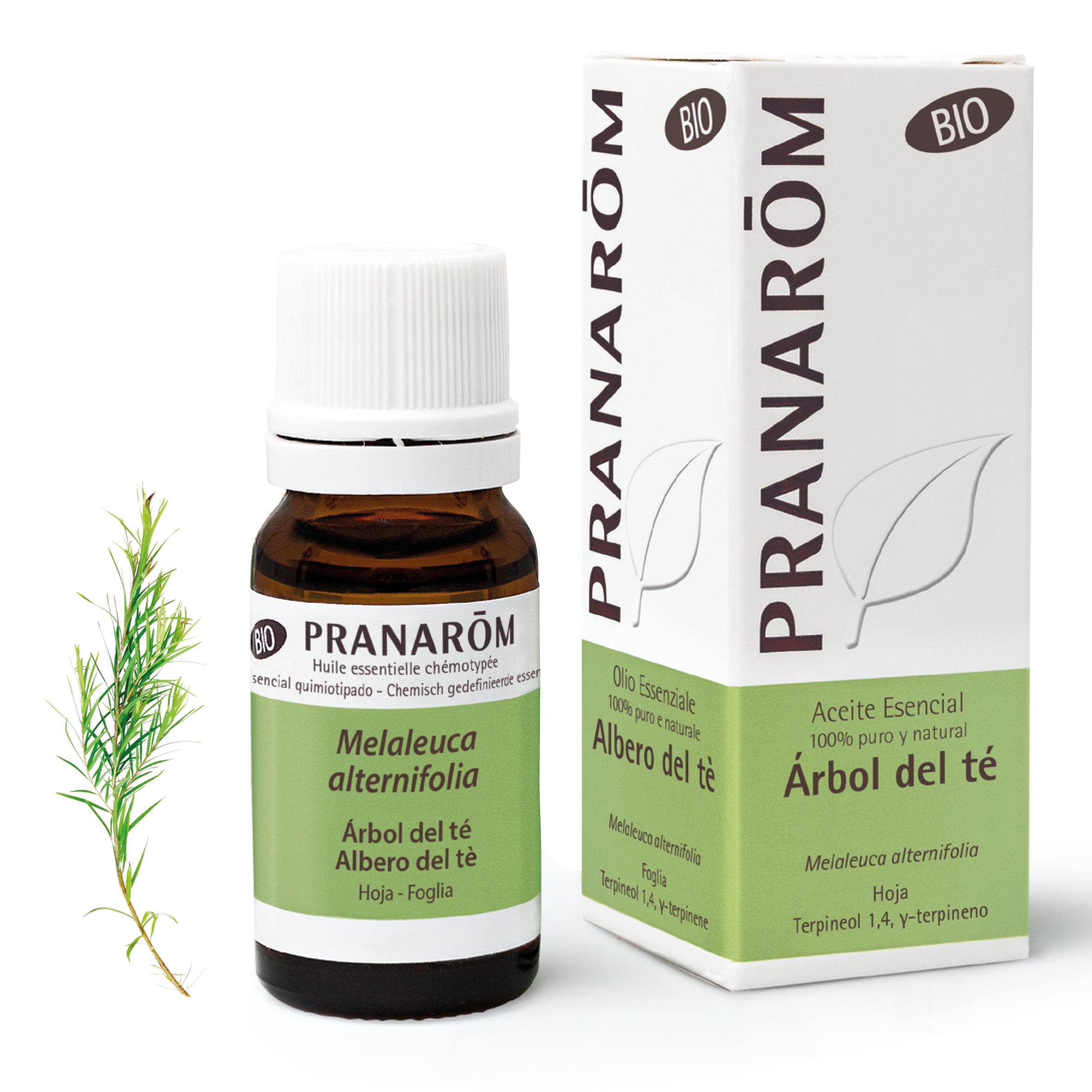 2450-aebio-esit20-arbol-del-te-albero-del-te-10ml-pranarom-01.jpg