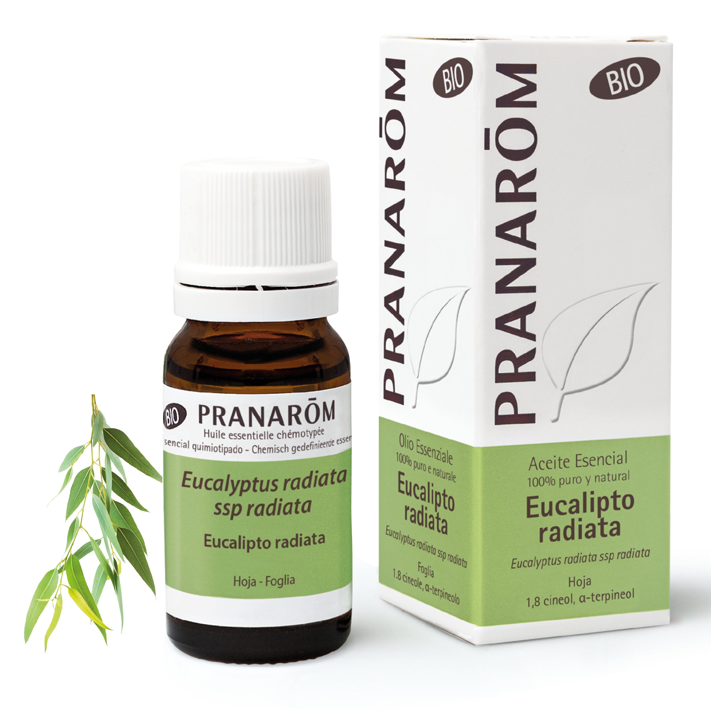2453-aebio-esit20-eucalipto-radiata-10ml-pranarom-01.jpg