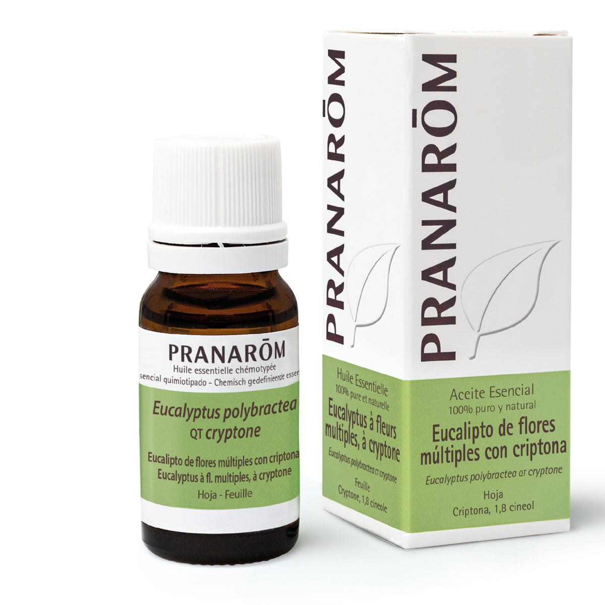 2748-ae-esfr21-eucalypto-eucalyptus-cryptone-10ml-pranarom-01.jpg