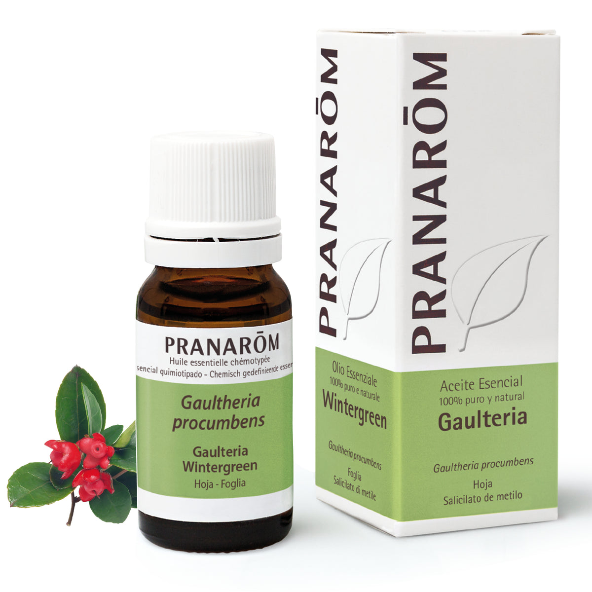 281-ae-esit20-gaulteria-wintergreen-10ml-pranarom-01.jpg