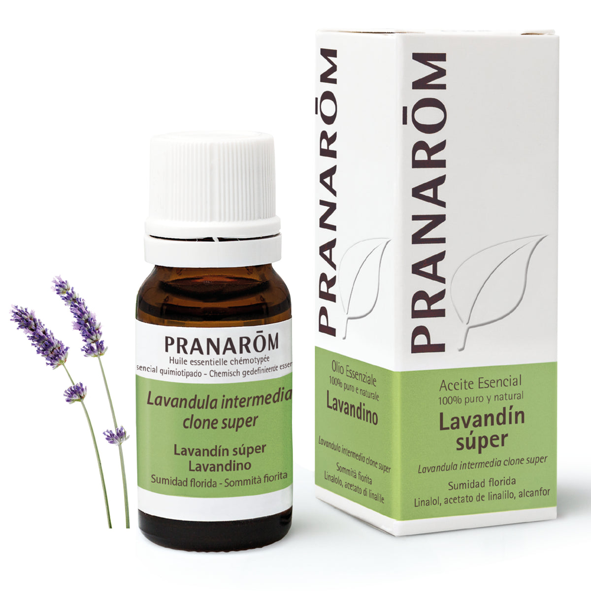 351-ae-esit20-lavandin-super-lavandino-10ml-pranarom-01.jpg