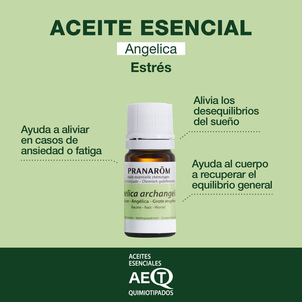 37-angelica-raiz-pranarom-5ml-es24-5420008500374-02.jpg