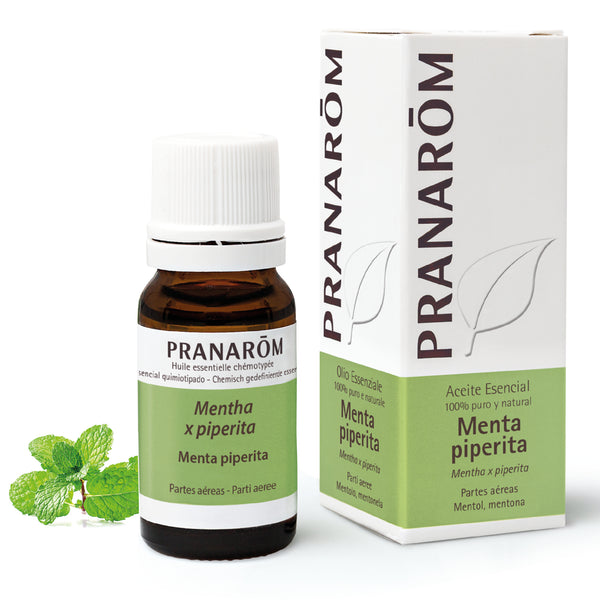 420-ae-esit20-menta-piperita-10ml-pranarom-01.jpg