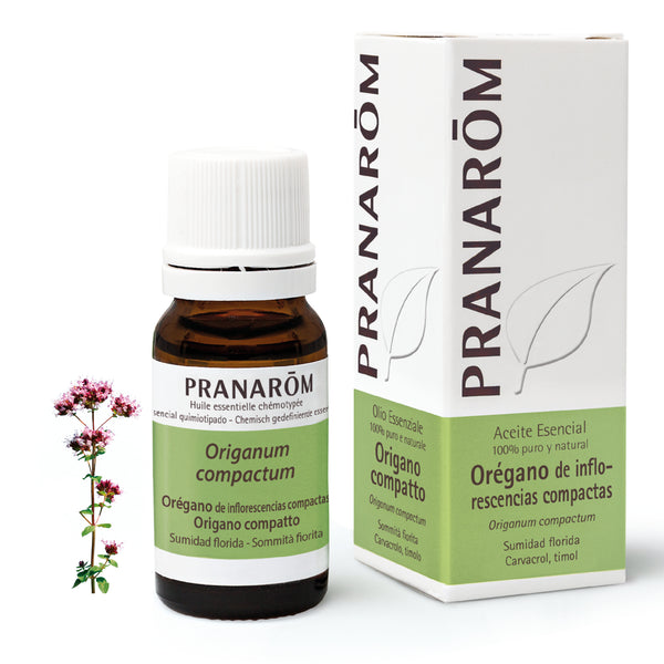 478-ae-esit20-oregano-origano-compatto-10ml-pranarom-01.jpg