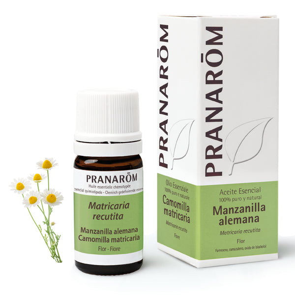 4883-ae-esit20-manzanilla-alemana-camomilla-matricaria-5ml-pranarom-01.jpg