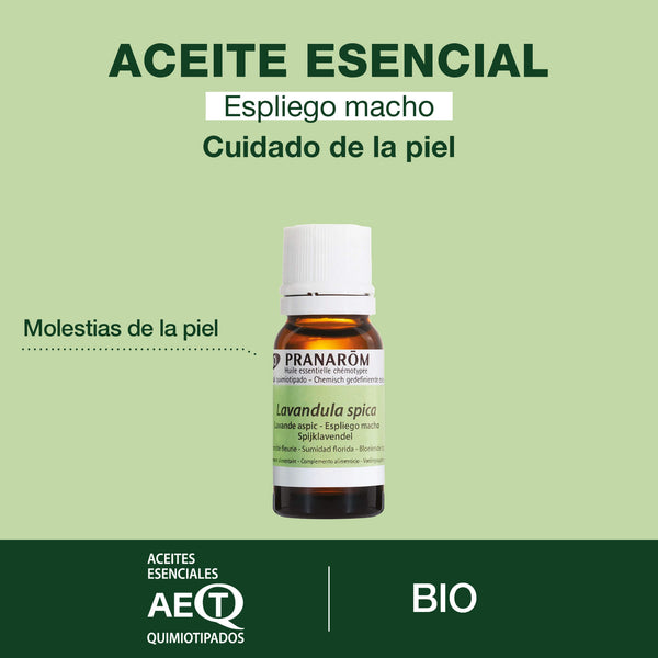 5172-espliego-macho-sumidad-florida-bio-pranarom-10ml-es24-5420008574283-02.jpg