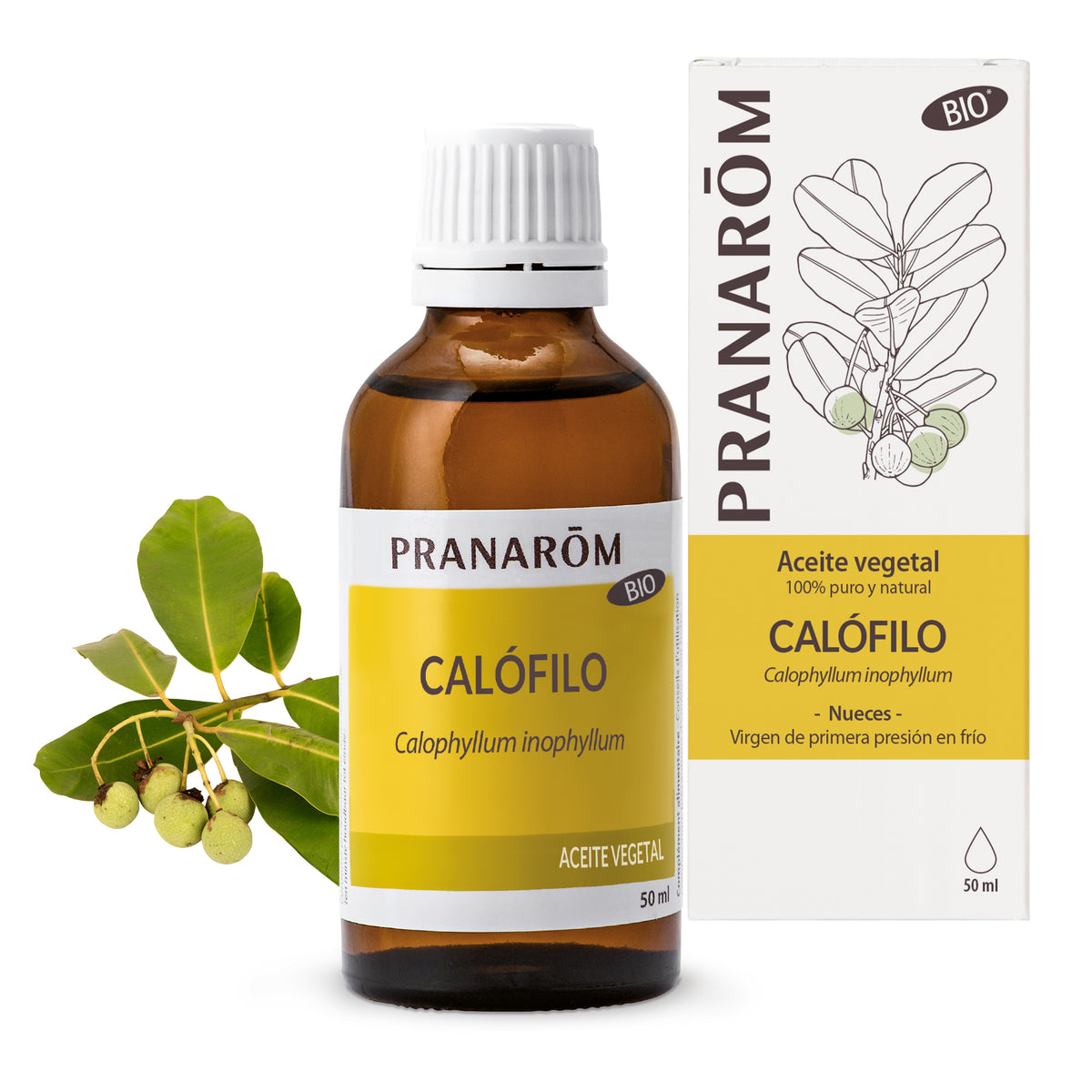 6732-es22-aceite-vegetal-calofilo-bio-pranarom-01.jpg