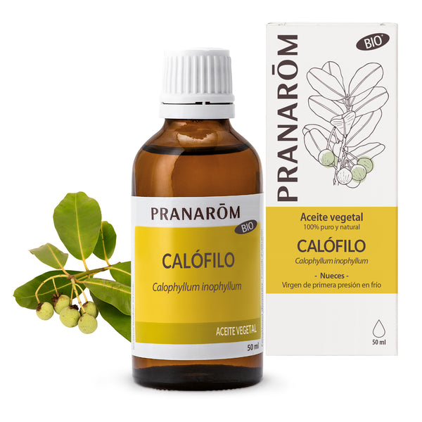 6732-es22-aceite-vegetal-calofilo-bio-pranarom-01.jpg