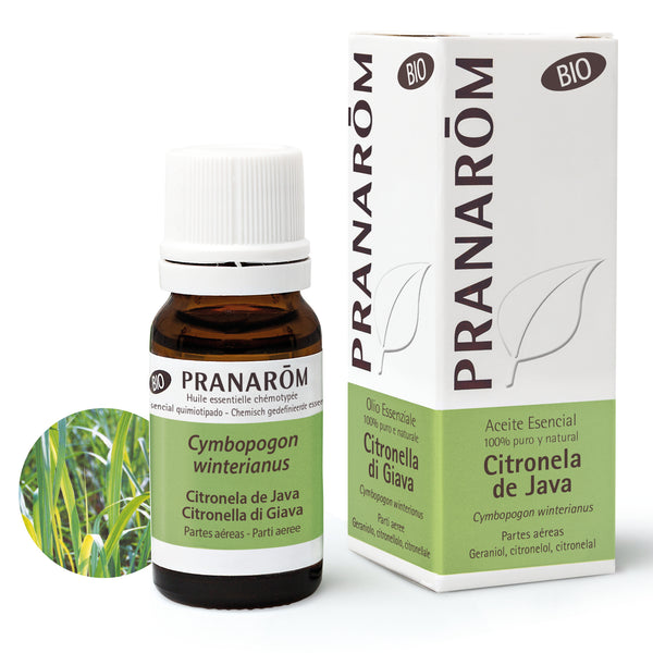7262-aebio-esit20-citronela-de-java-citronella-di-giava-10ml-pranarom-01.jpg