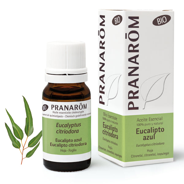 7269-aebio-esit20-eucalipto-azul-eucalypto-citriodora-10ml-pranarom-01.jpg