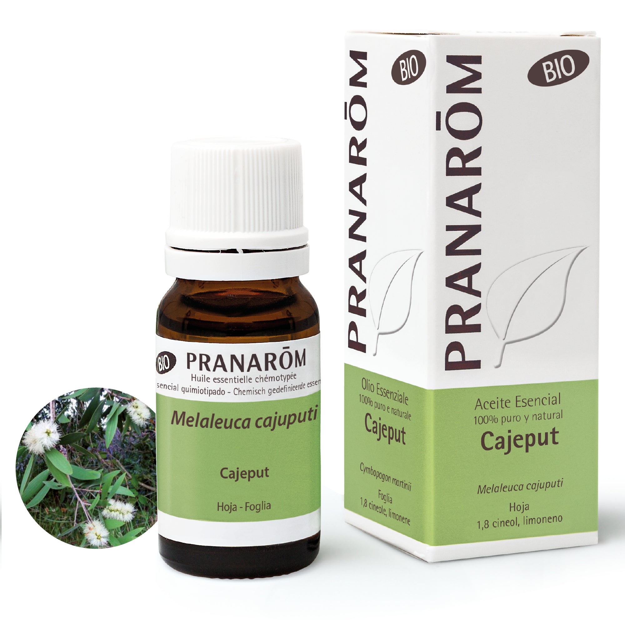 7382-aebio-esit22-cajeput-10ml-pranarom-01.jpg