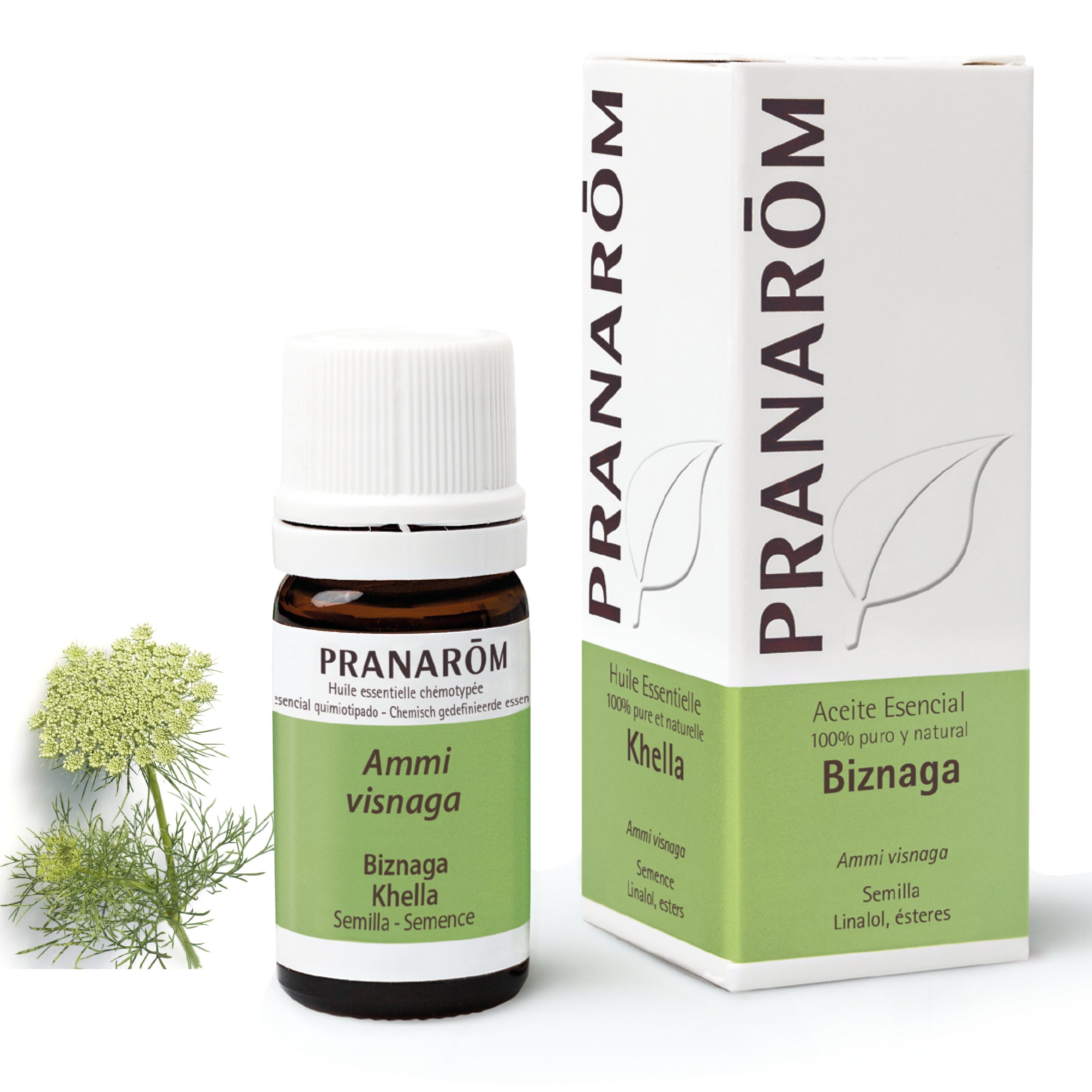Aceite Esencial Biznaga 5 ml
