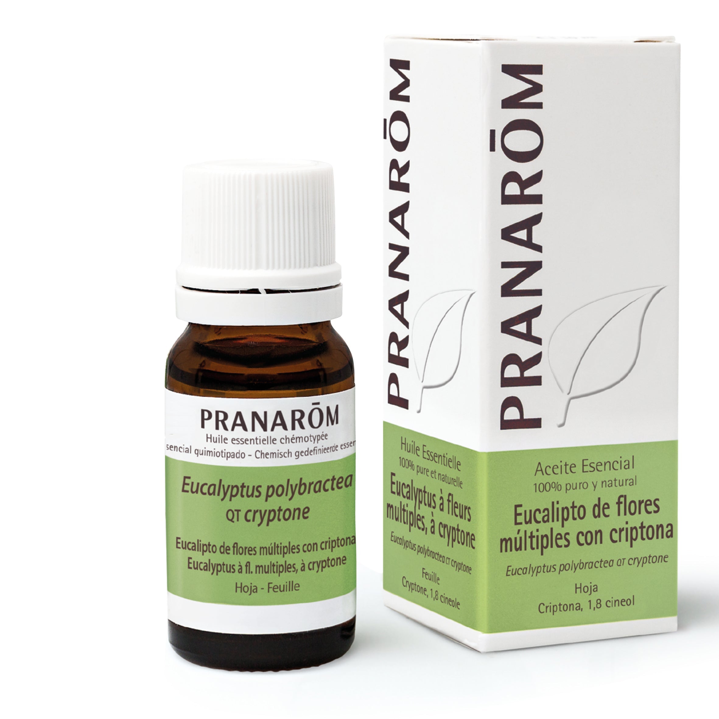 Aceite Esencial Eucalipto De Flores Múltiples Con Criptona 10 ml - Bio