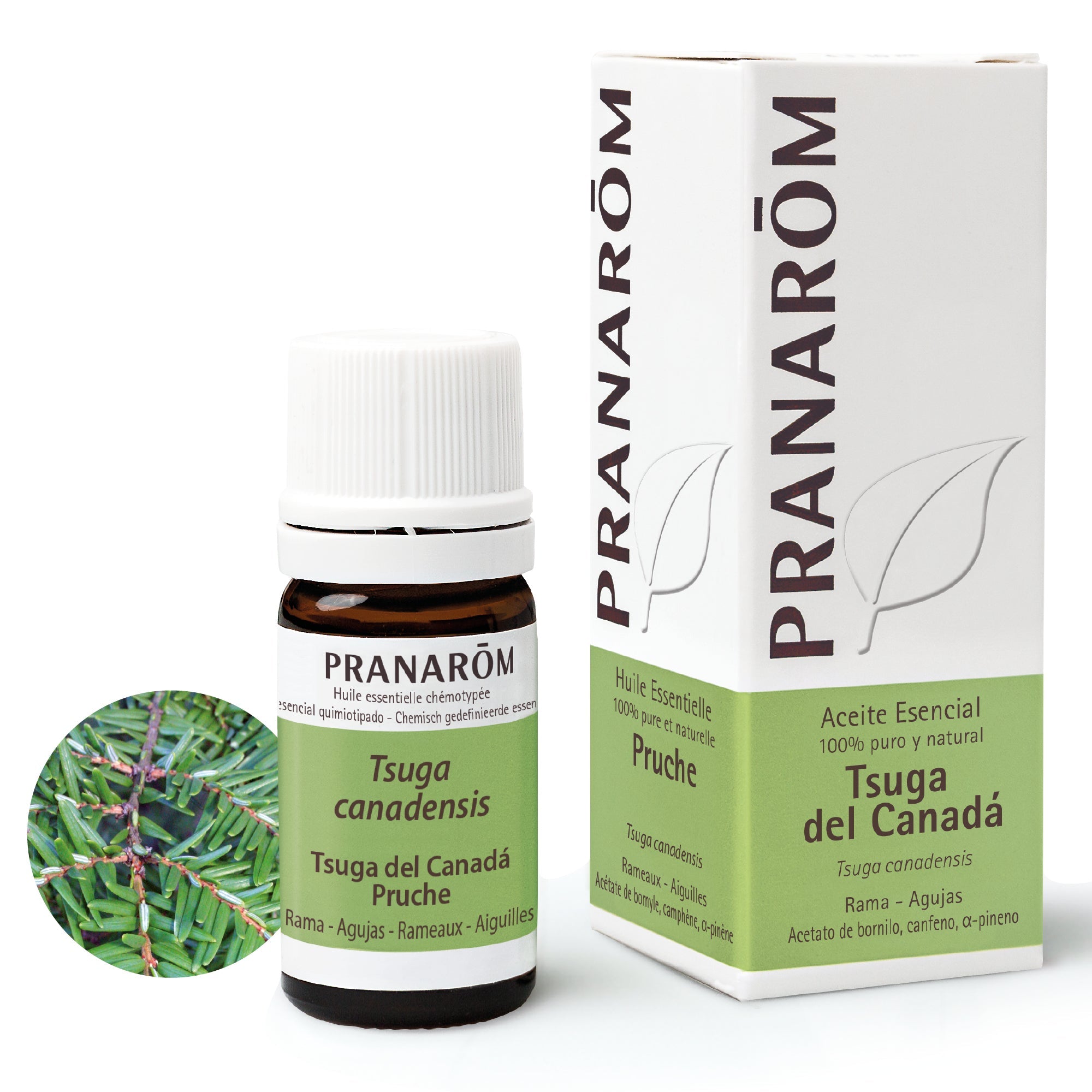 Aceite Esencial Tsuga Del Canadá 5 ml
