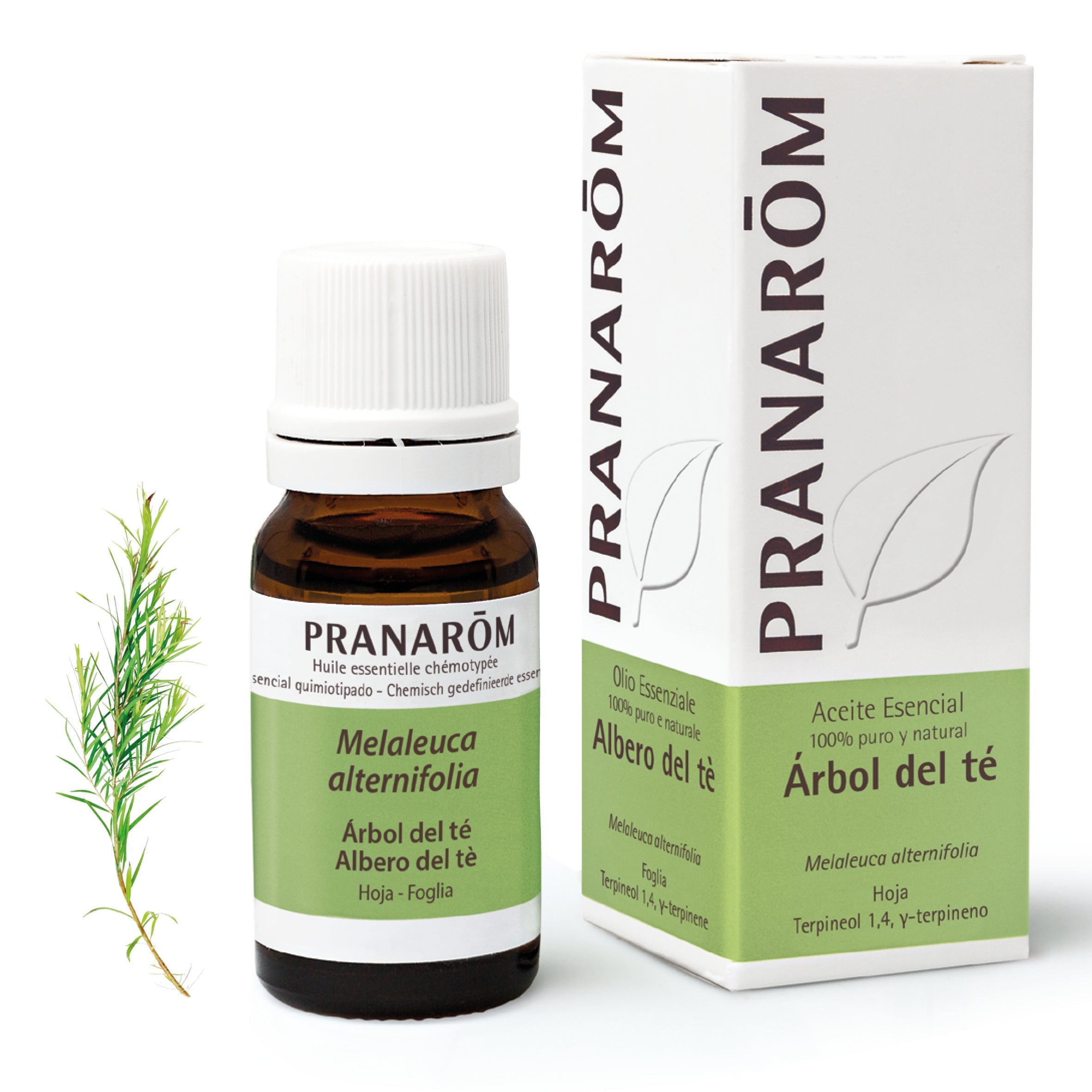 Aceite Esencial Árbol del Té 10 ml