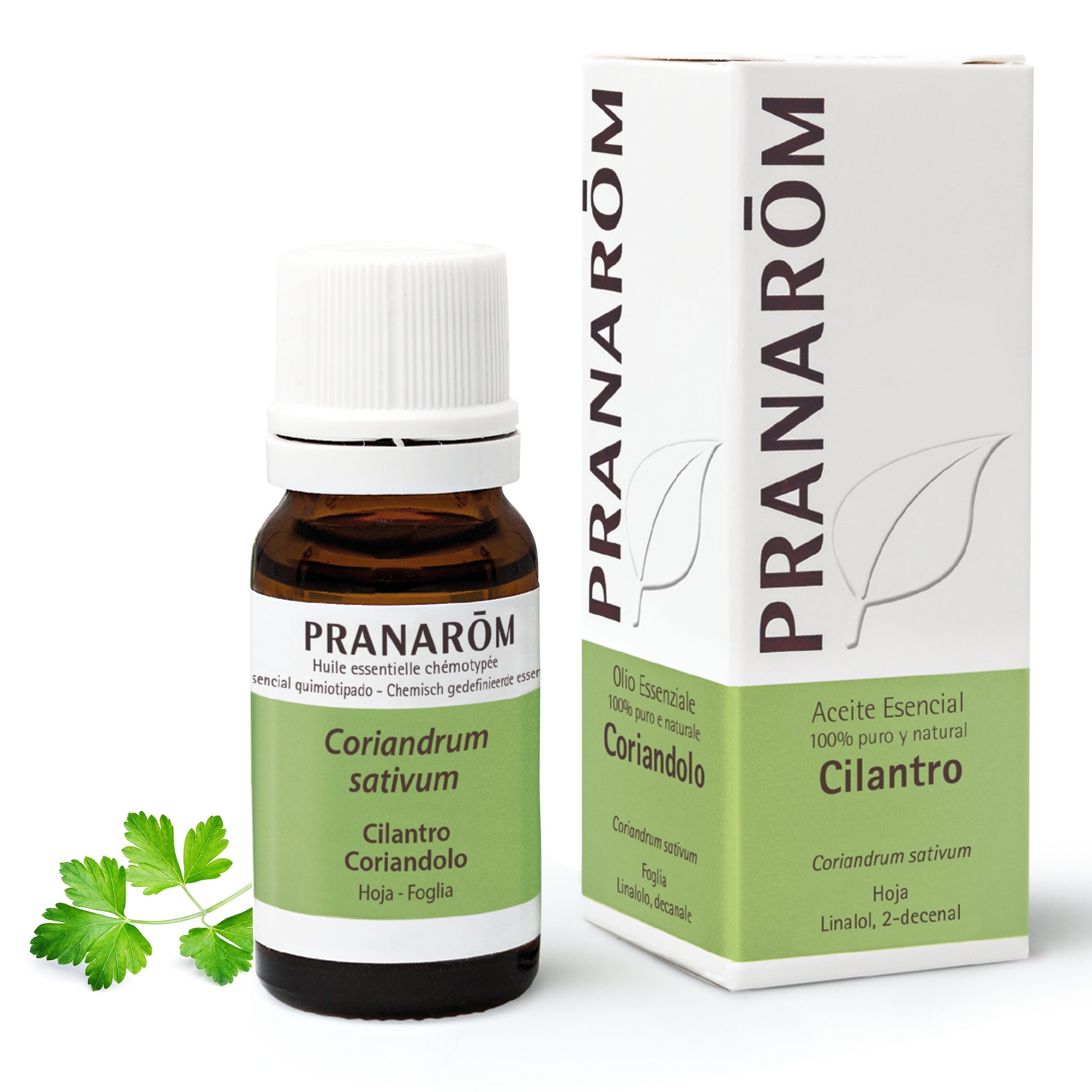 Aceite Esencial Cilantro 10 ml