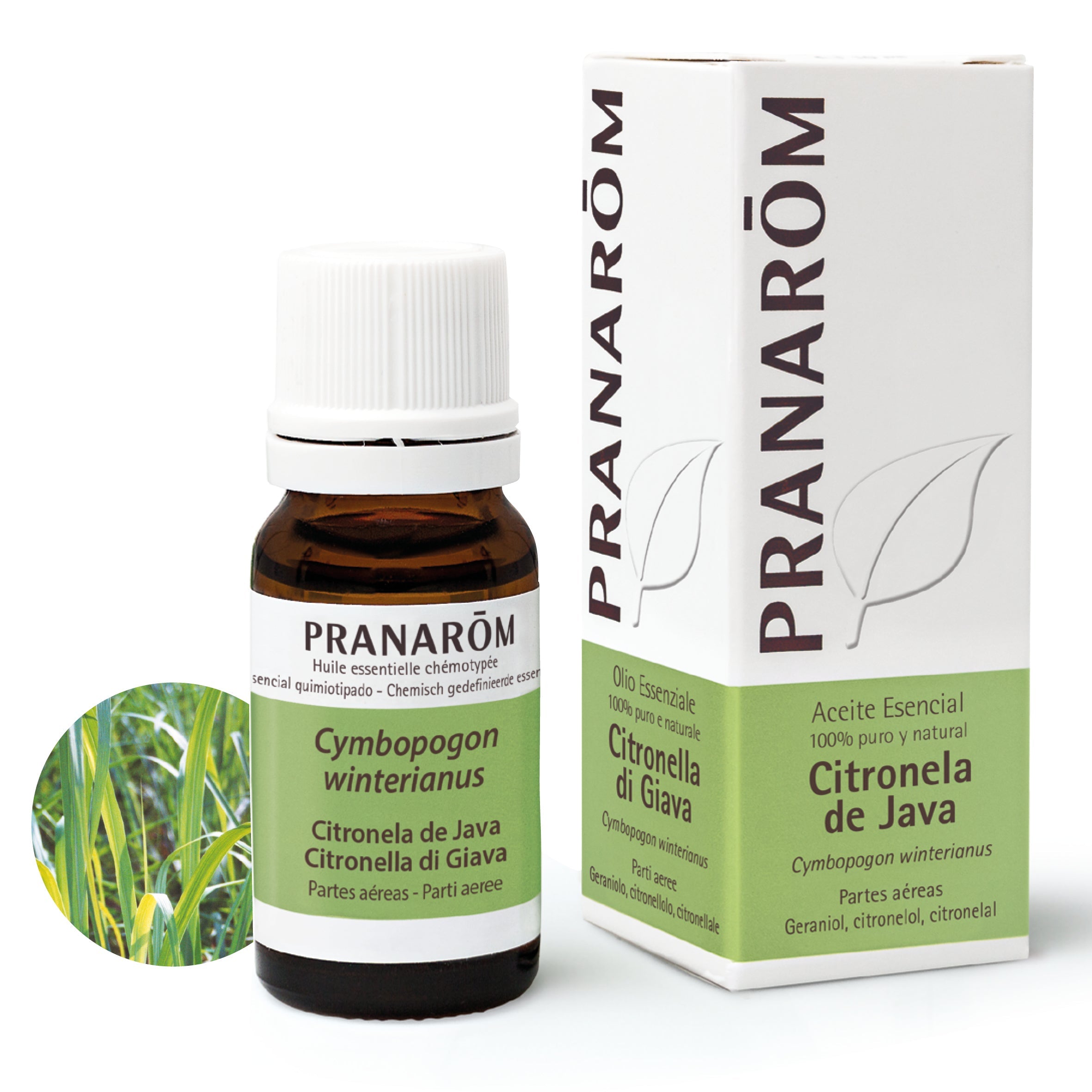 Aceite Esencial Citronela de Java 10 ml
