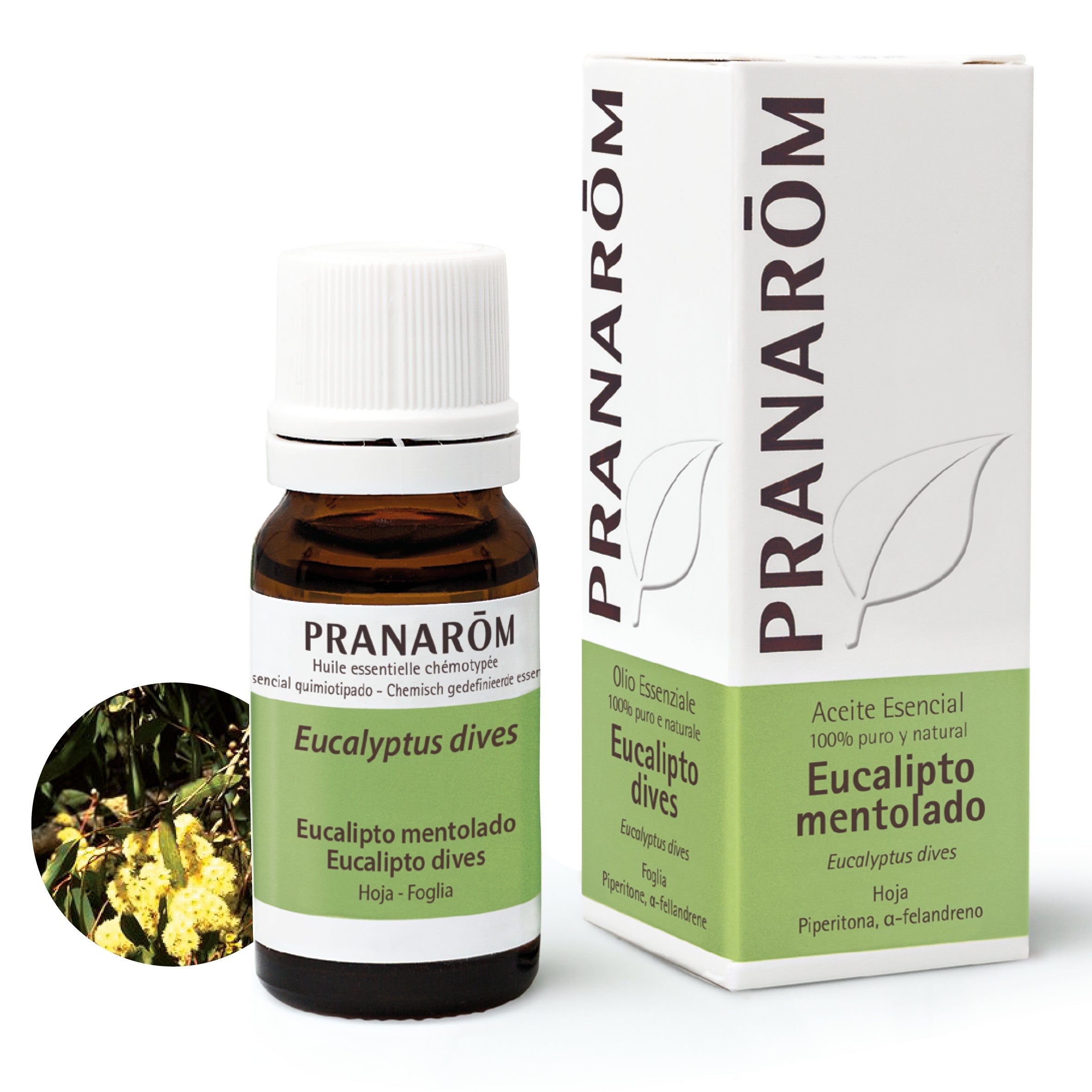 Aceite Esencial Eucalipto Mentolado 10 ml