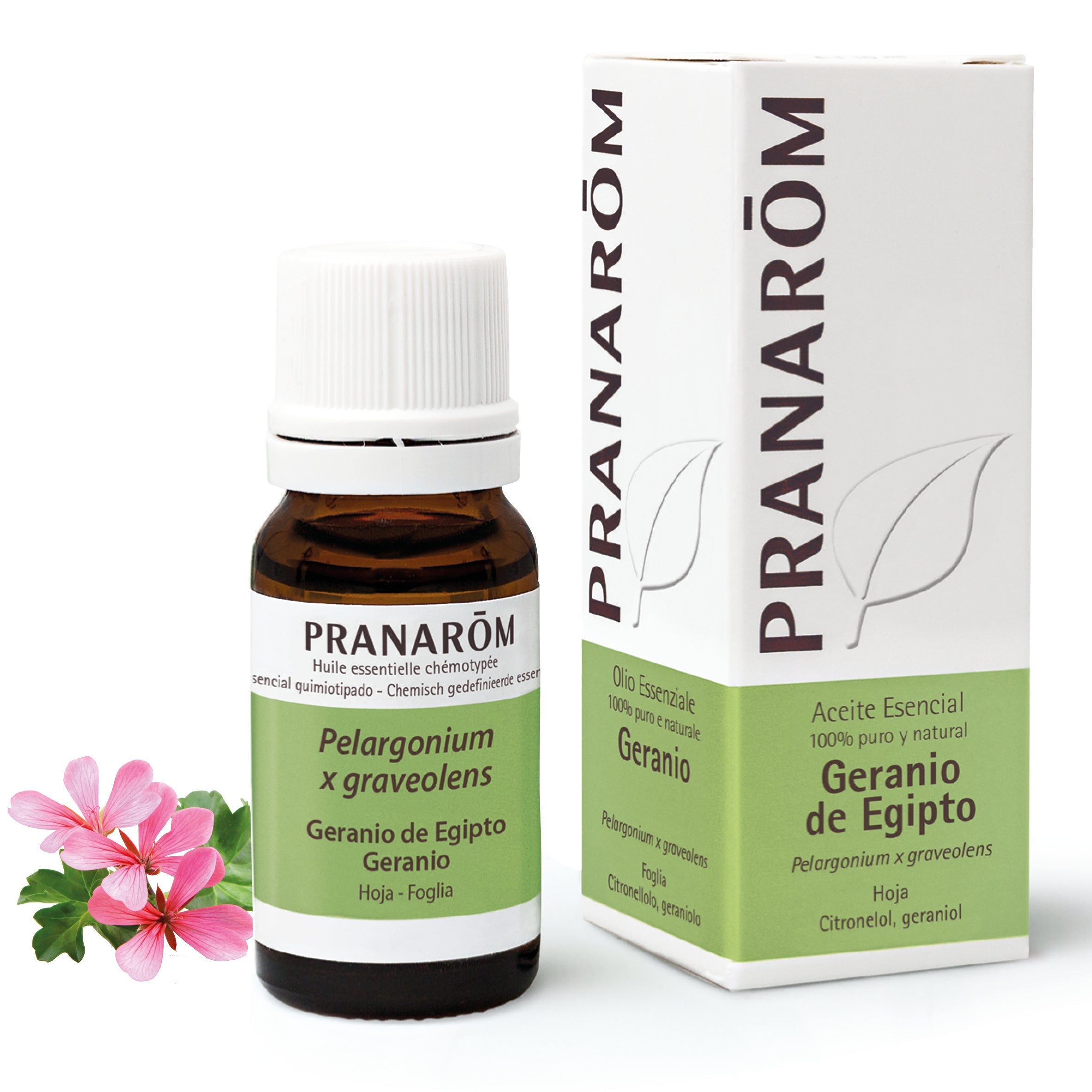 Aceite Esencial Geranio de Egipto 10 ml