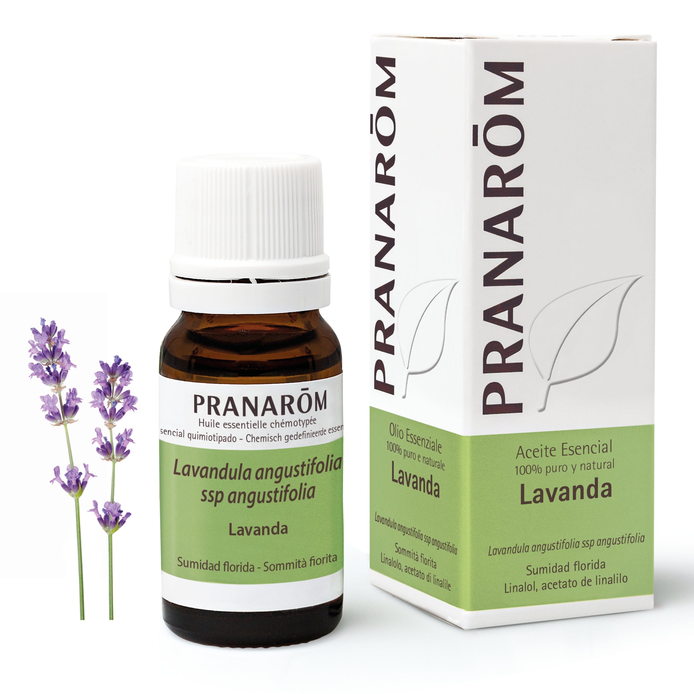 Aceite Esencial Lavanda 10 ml