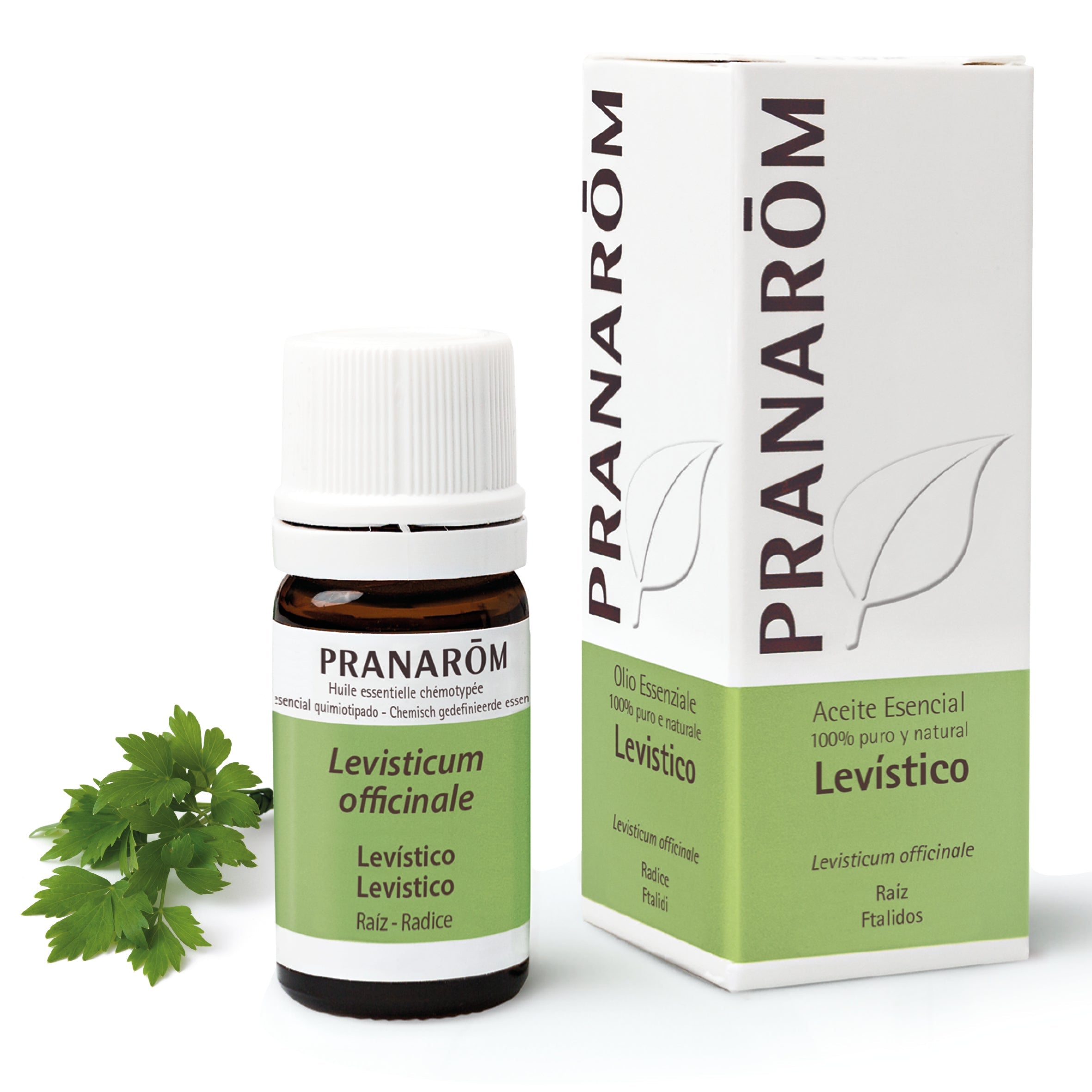 Aceite Esencial Levístico 5 ml