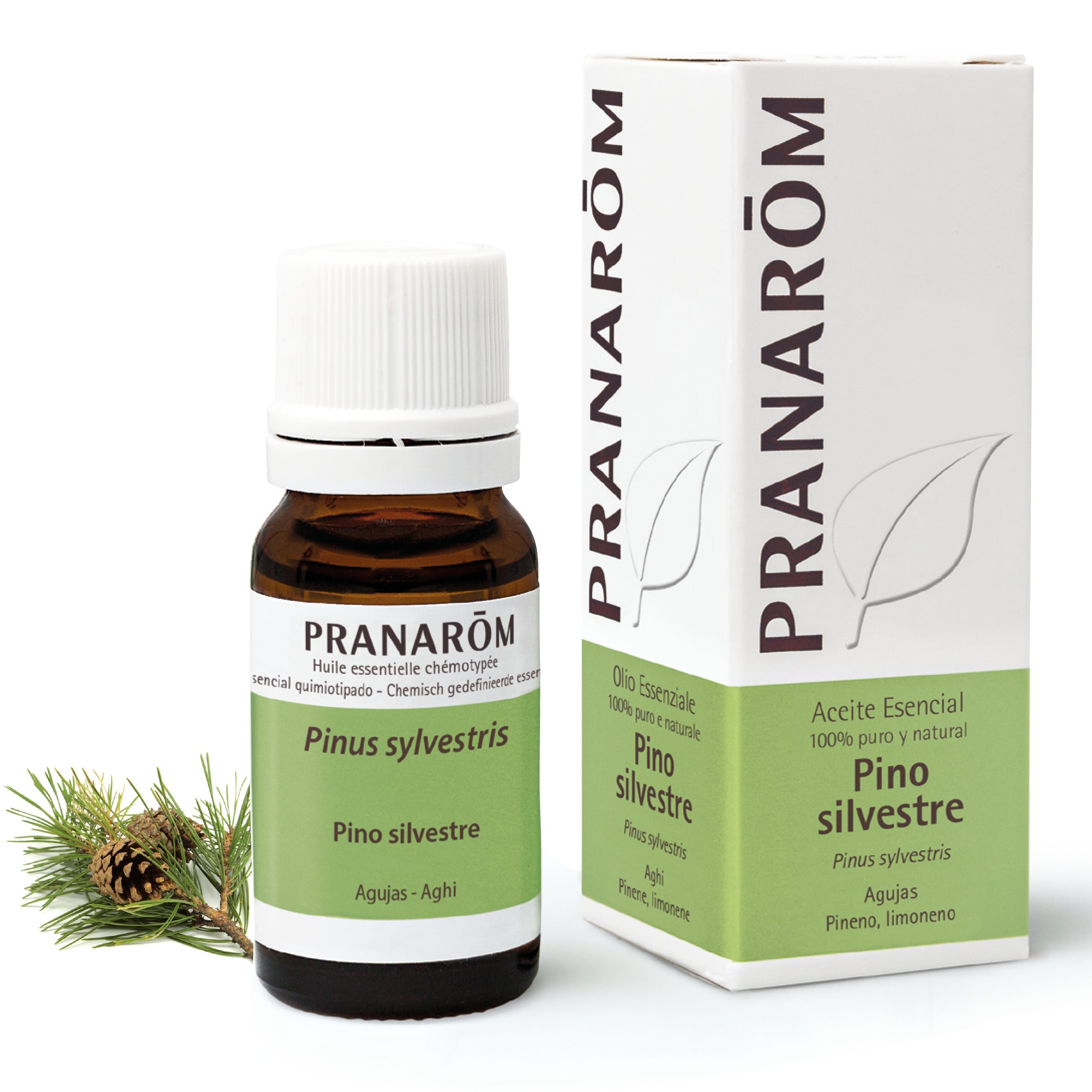 Aceite Esencial Pino Silvestre 10 ml
