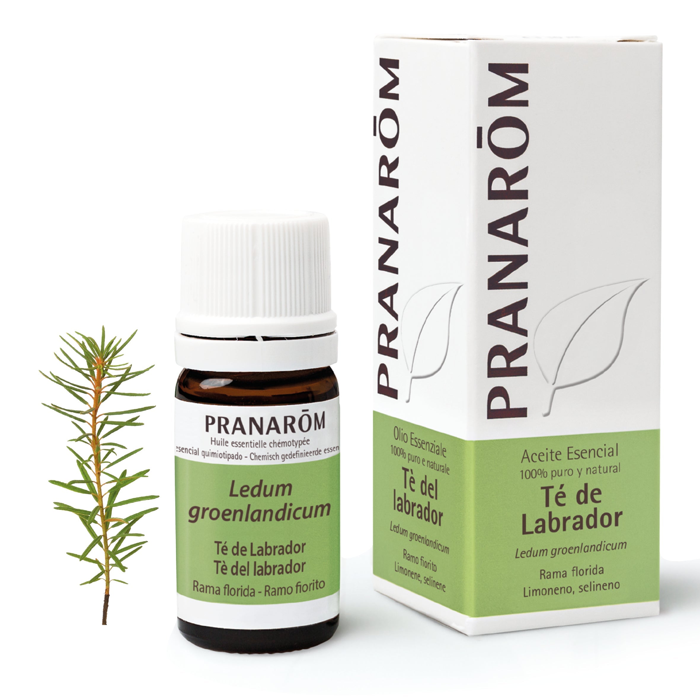 Aceite Esencial Té de Labrador 5 ml