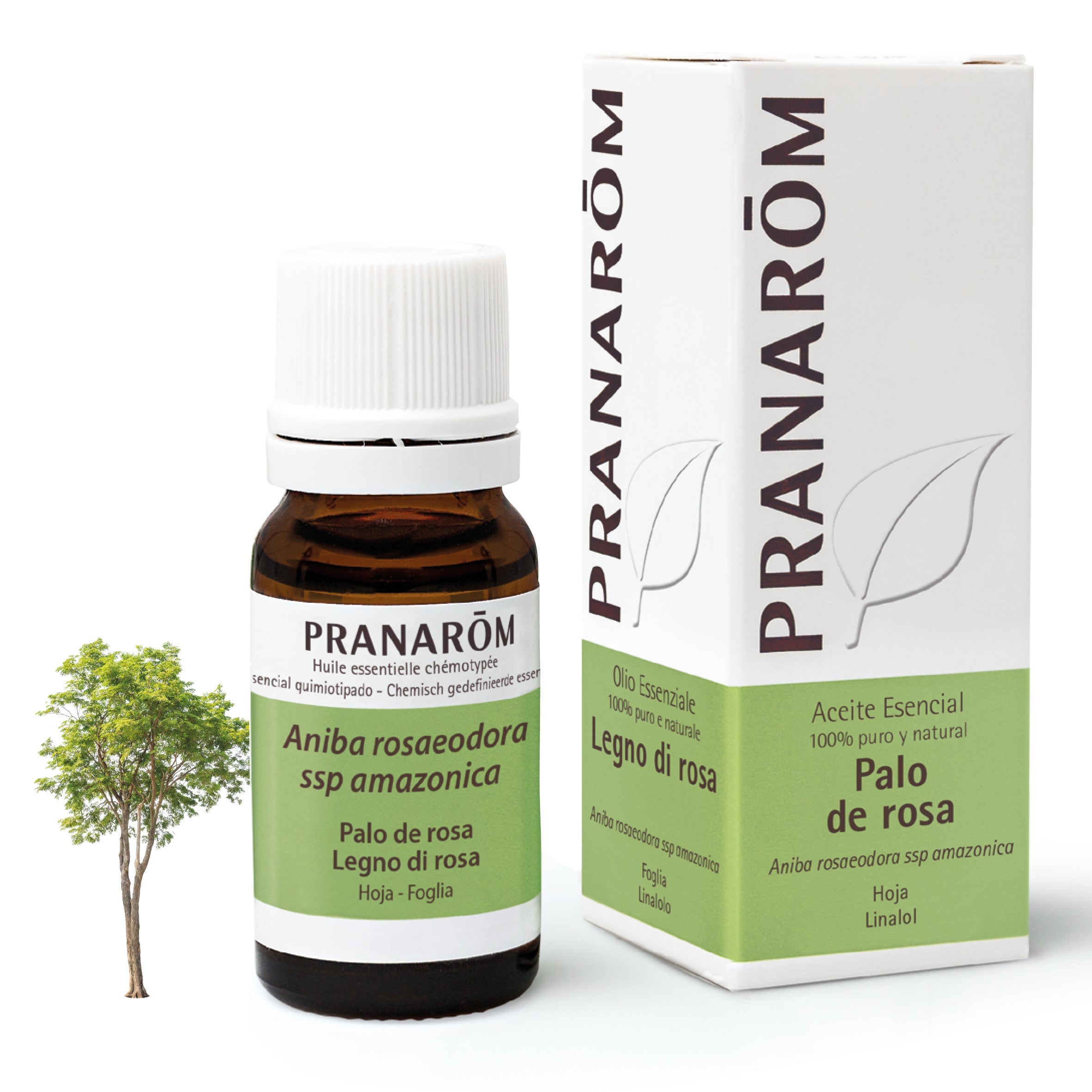 Aceite Esencial Palo de Rosa 10 ml - Bio