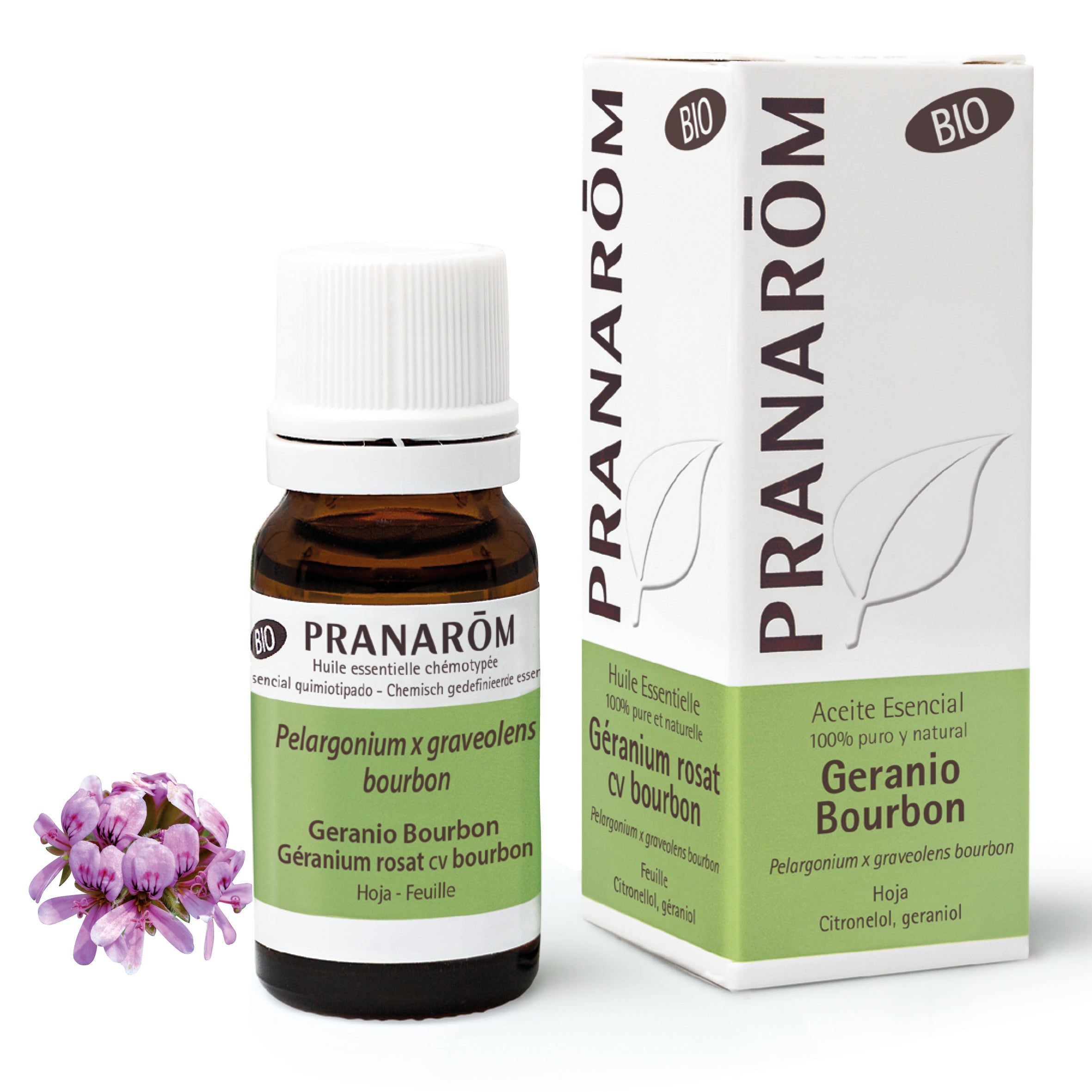 Aceite Esencial Geranio Bourbon 10 ml - Bio