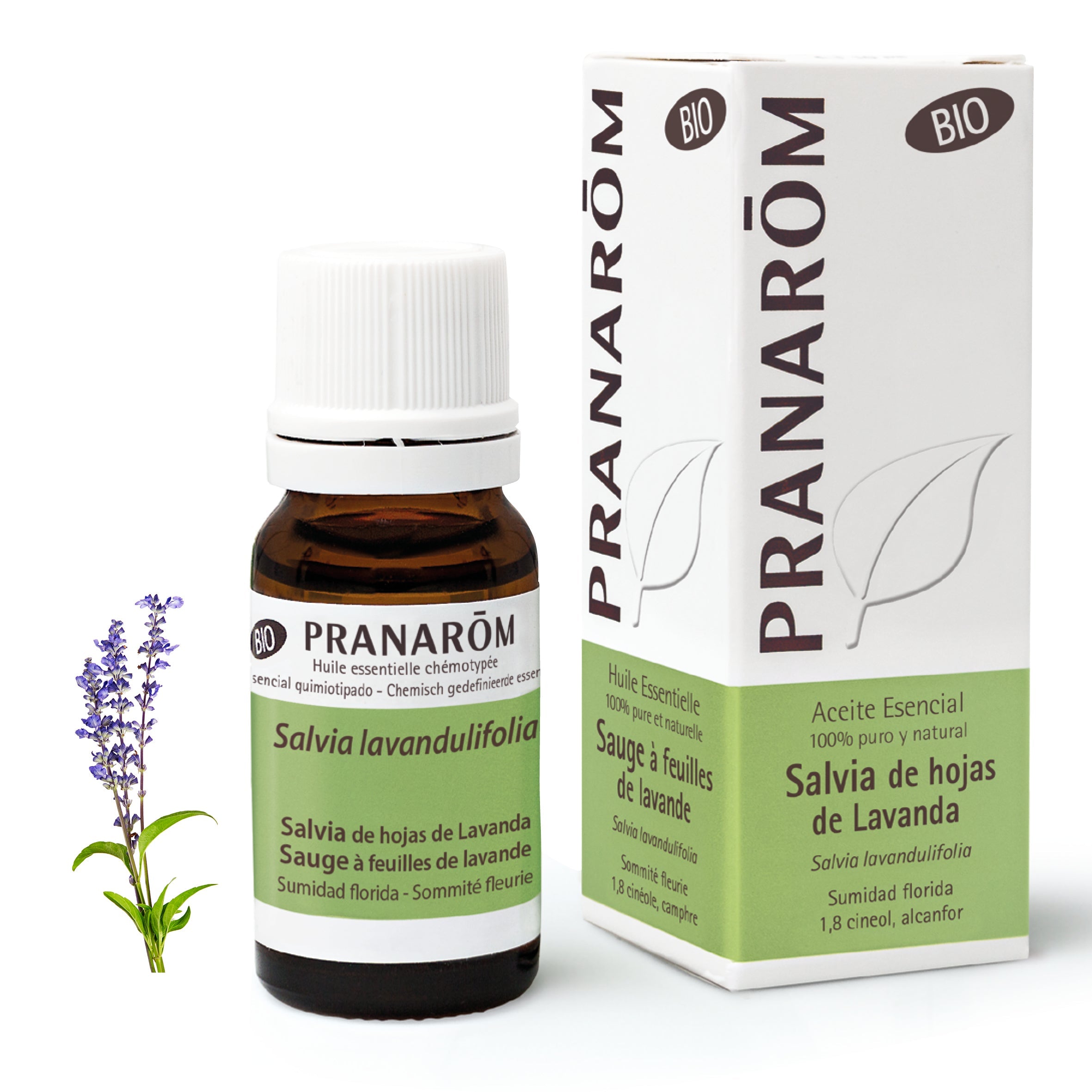 Aceite Esencial Salvia de Hojas de Lavanda 10 ml - Bio