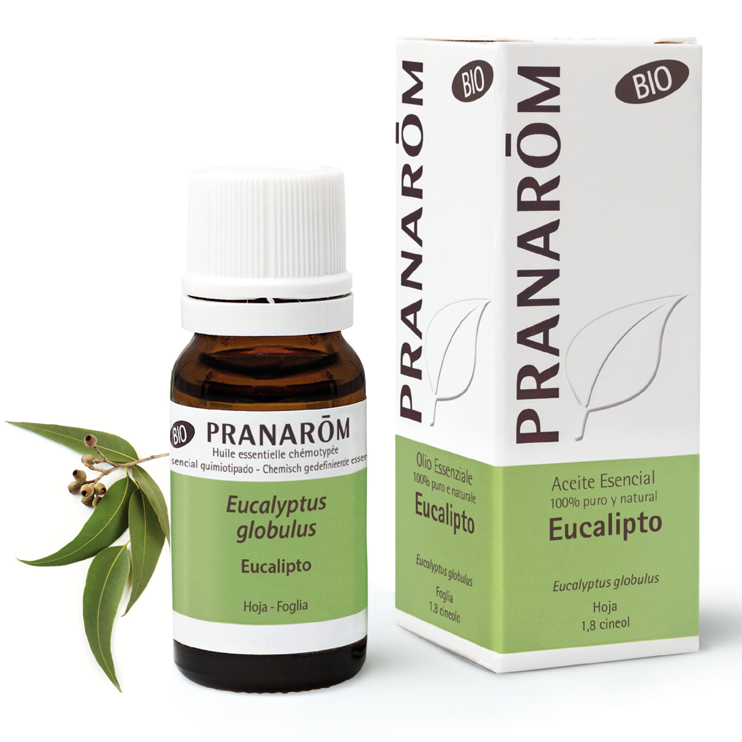 Aceite Esencial Eucalipto 10 ml - Bio