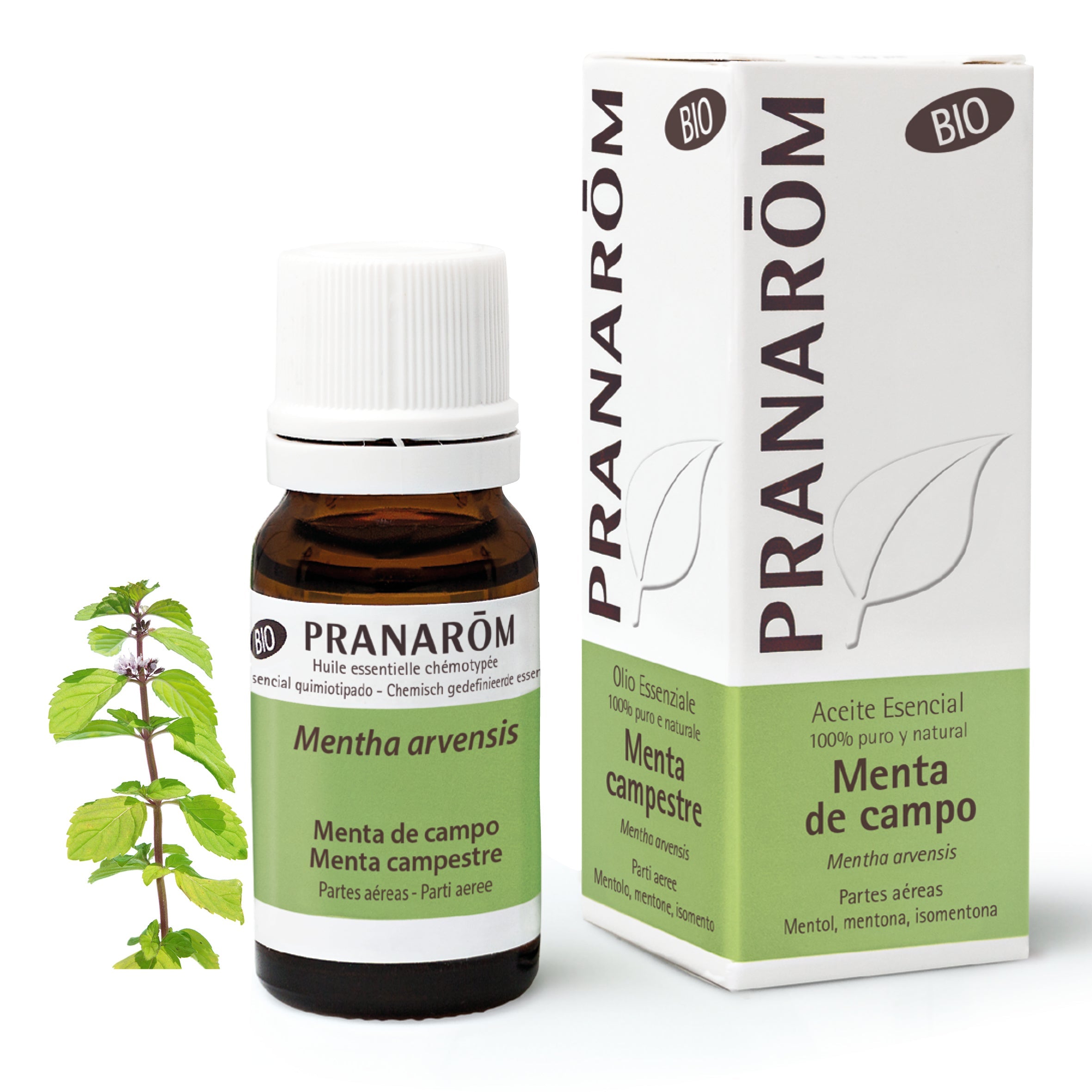 Aceite Esencial Menta de Campo 10 ml - Bio