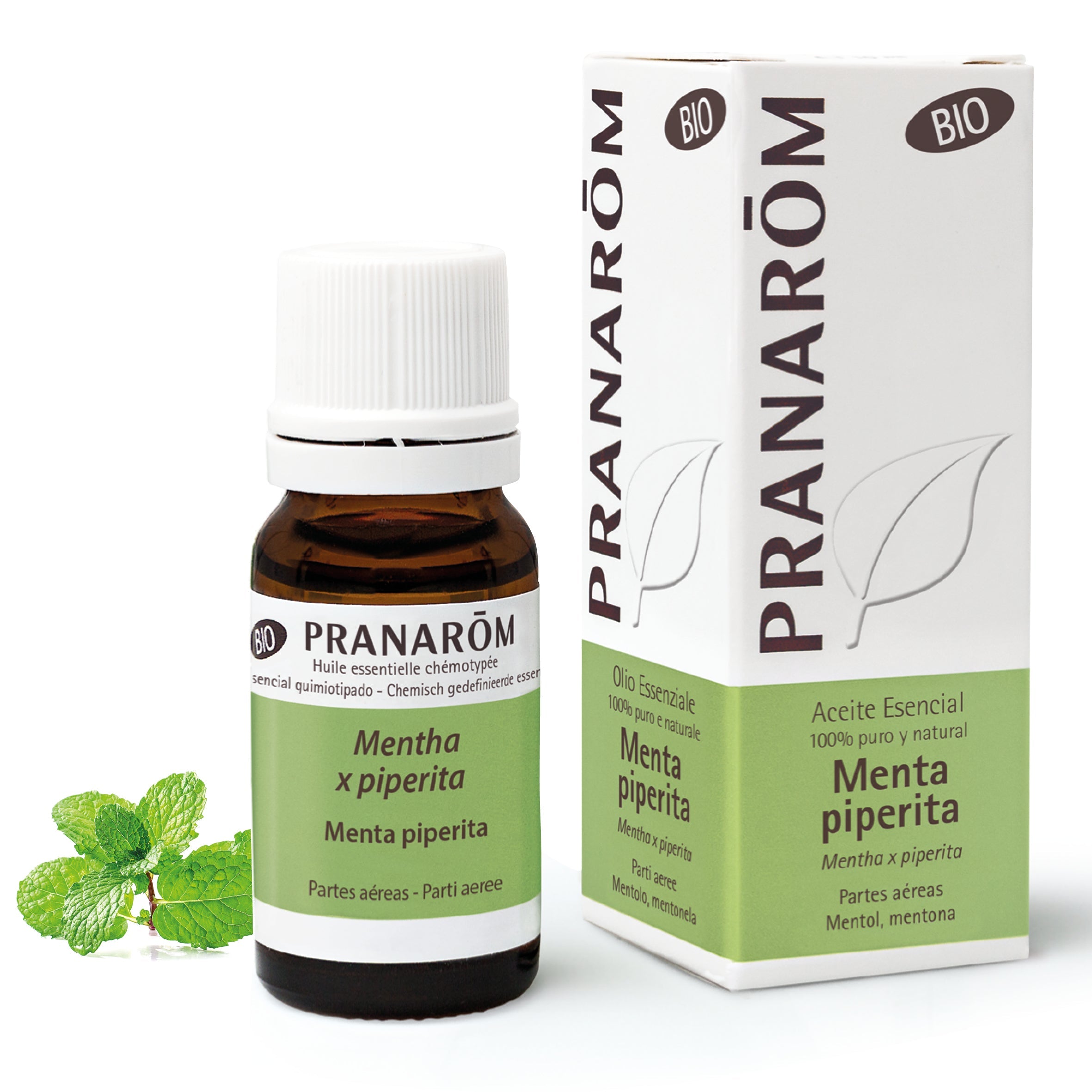 Aceite Esencial Menta Piperita 10 ml - Bio