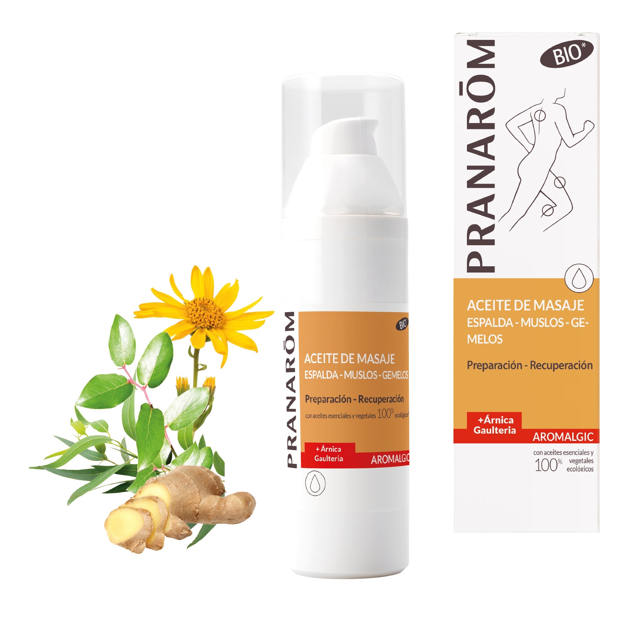 Aceite de Masaje Articulaciones y Músculos 100 ml - Bio
