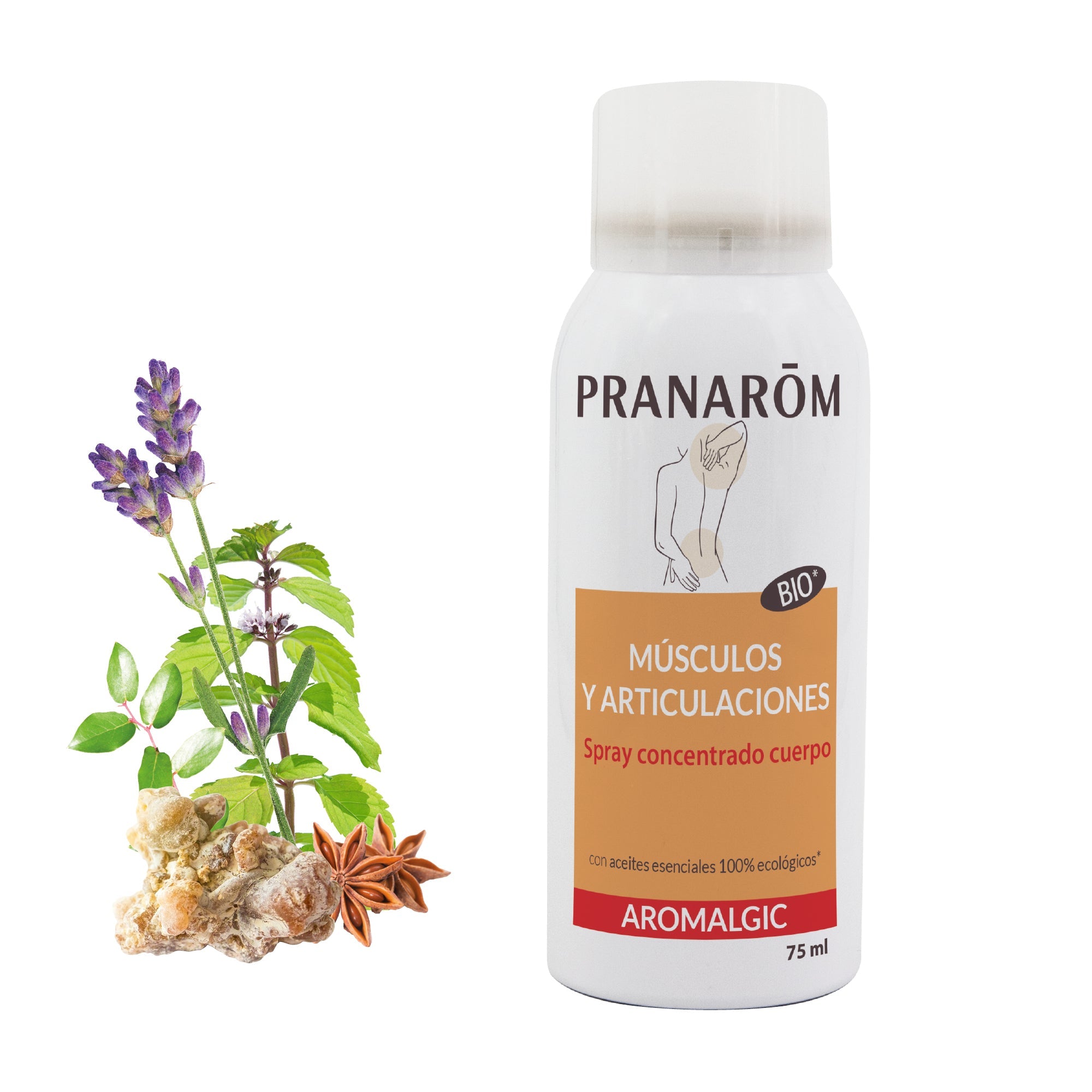 Spray Articulaciones y Músculos 75 ml - Bio