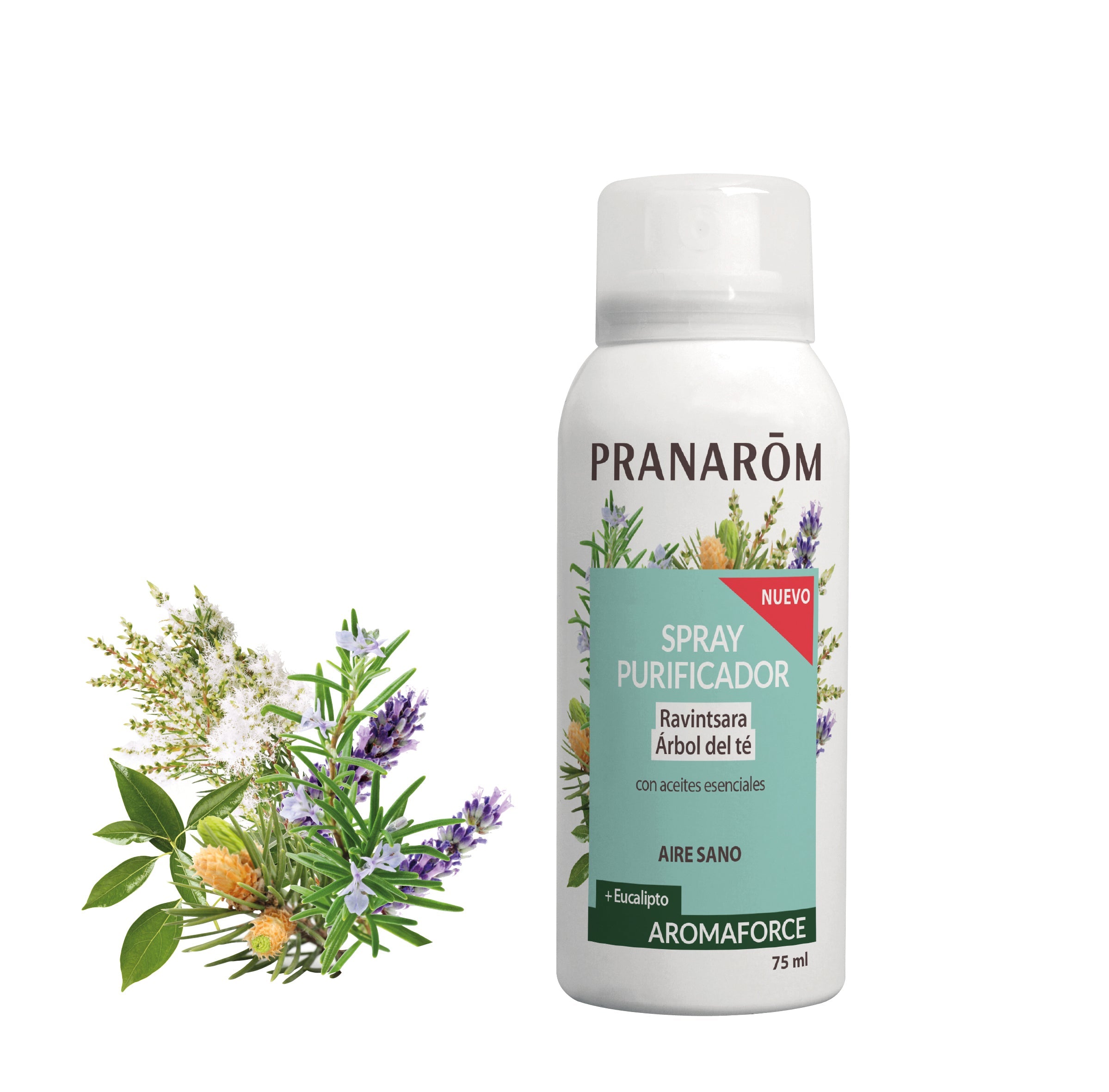 Spray purificador - Bio