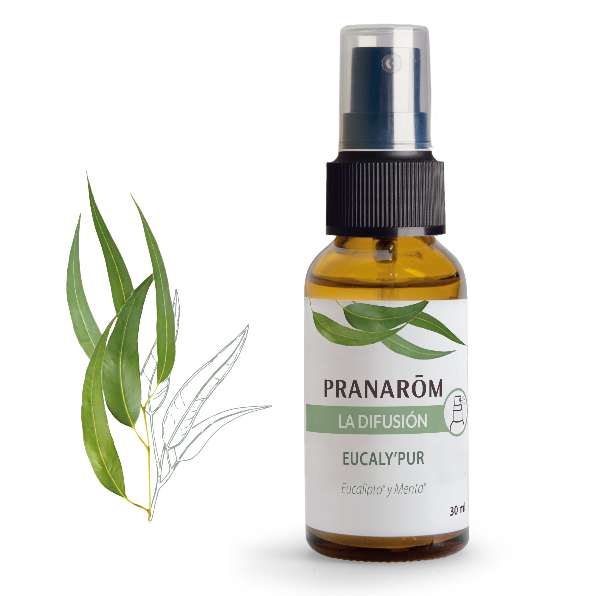 Spray Eucaly’pur - Bio