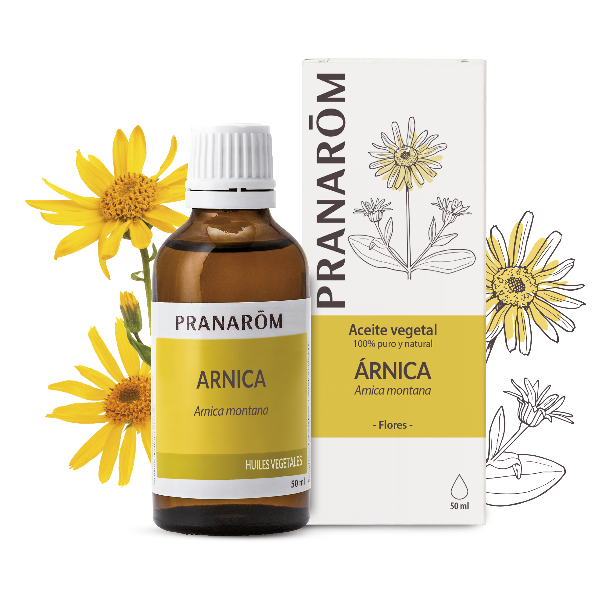 Aceite Vegetal Árnica 50 ml