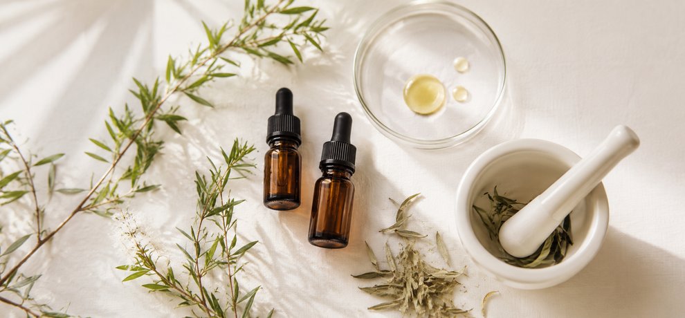 Frascos de Aceites Esenciales en vidrio ambar con hojas de arbol del te y placa de Petri sobre fondo blanco