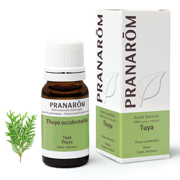 1230-ae-esfr20-tuya-thuya-10ml-pranarom-01.jpg