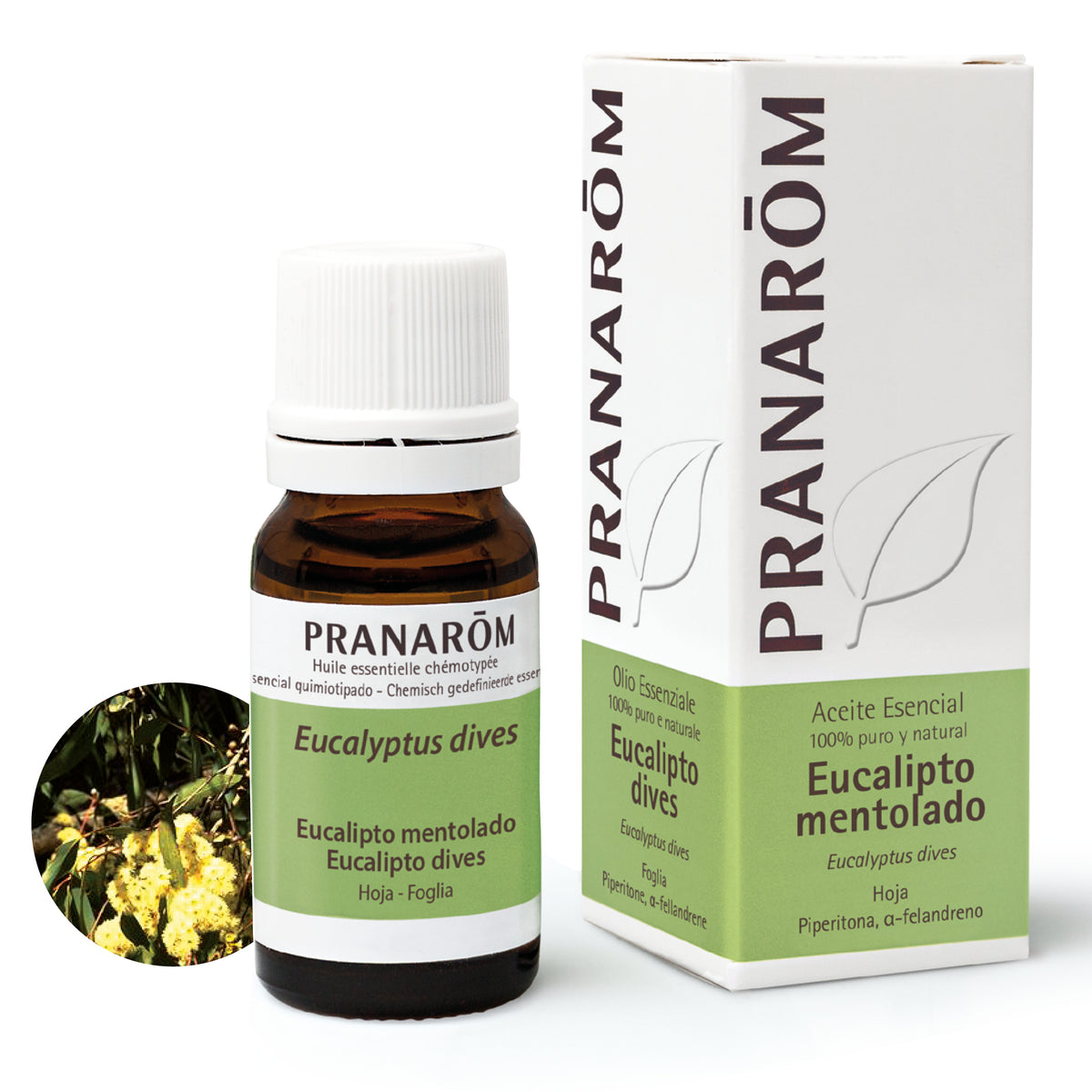 15212-ae-esit20-eucalipto-mentolado-eucalipto-dives-10ml-pranarom-01.jpg